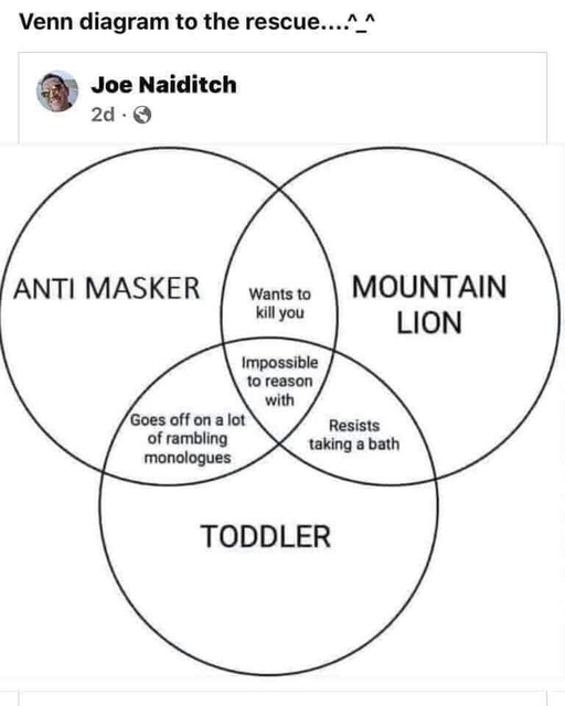 1628780253272.jpeg