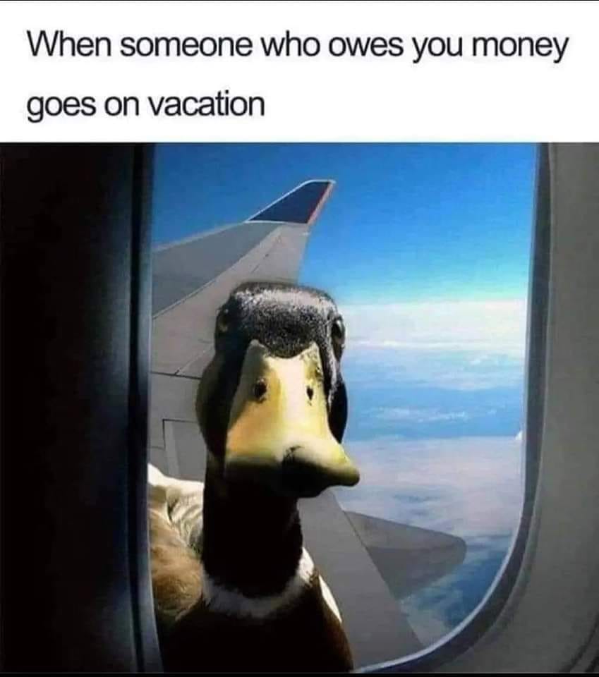 1694471818748.jpeg