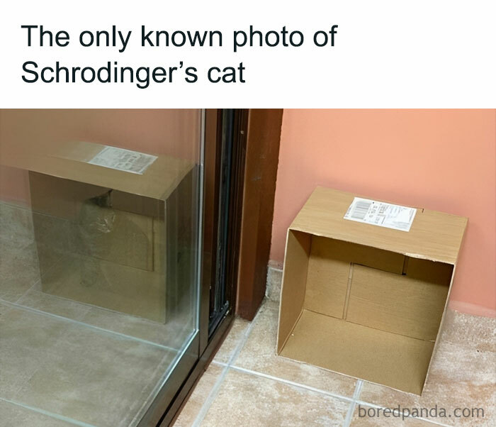 1696167115302.jpeg