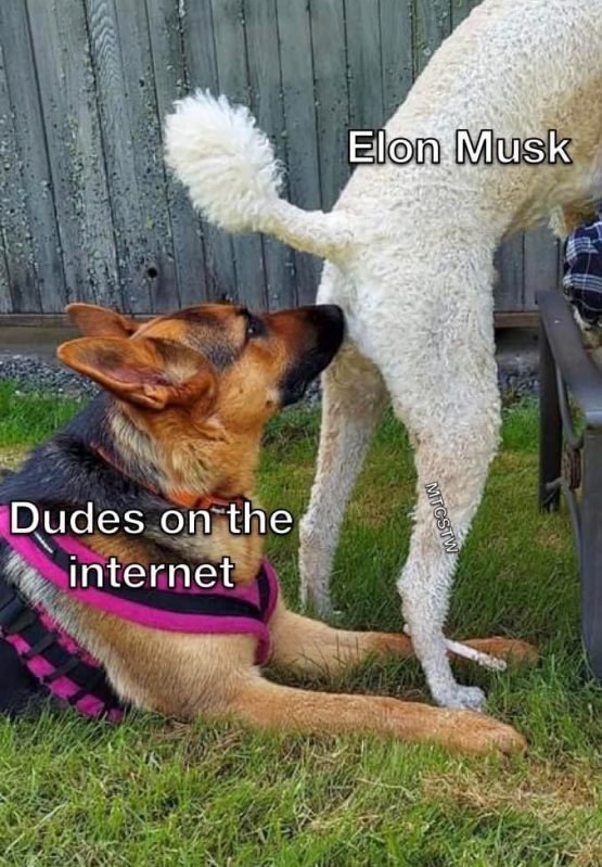 1698960514167.jpeg