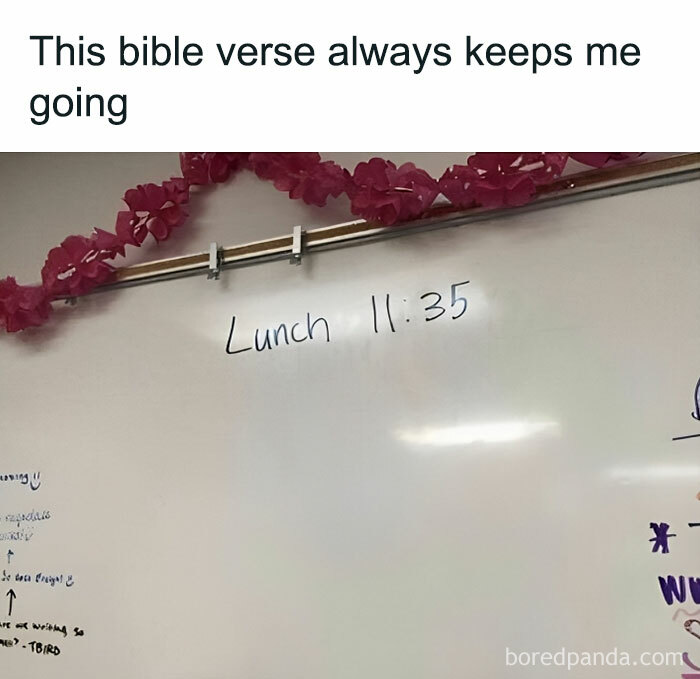 1699296959454.jpeg