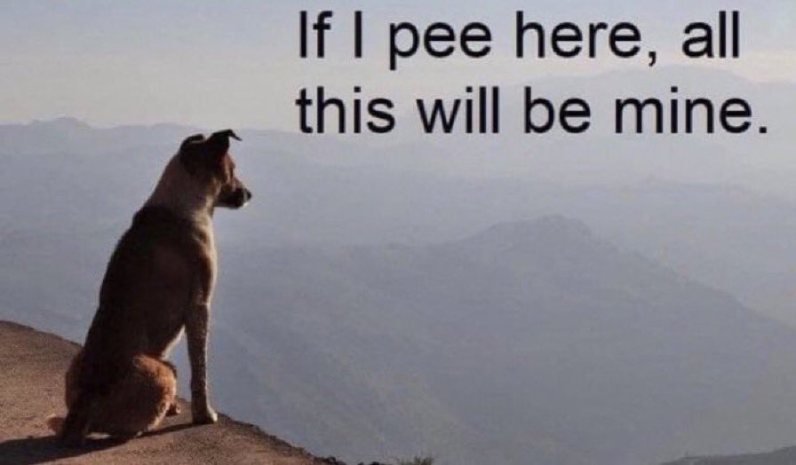 1700258209605.jpeg