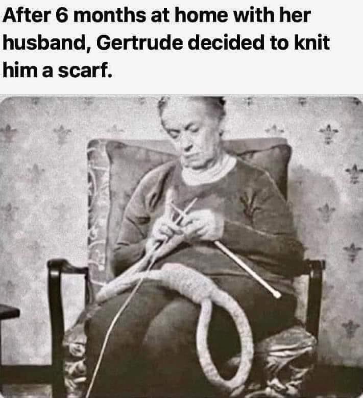 1701556446752.jpeg