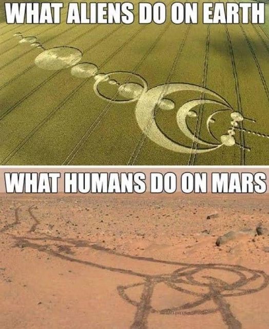 1703616059426.jpeg
