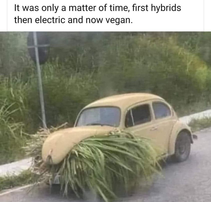 1705963190196.jpeg