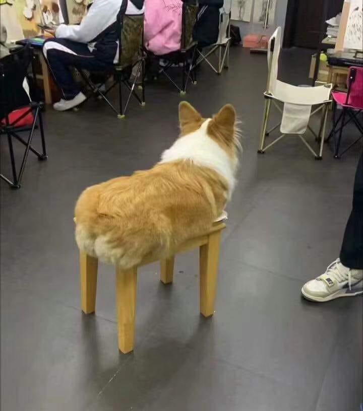 1707340708348.jpeg
