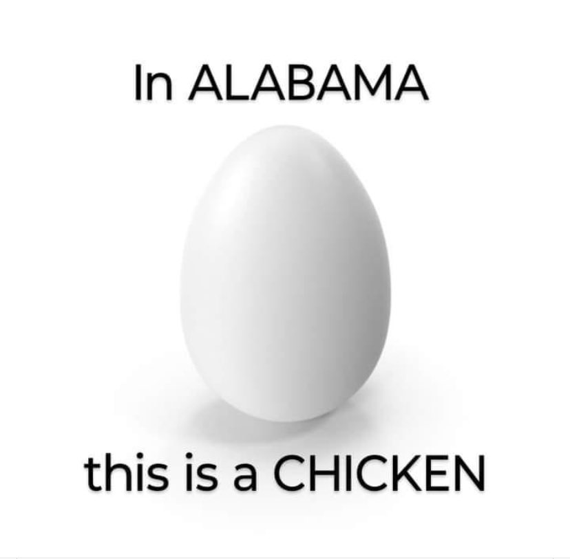 1708716068705.jpeg