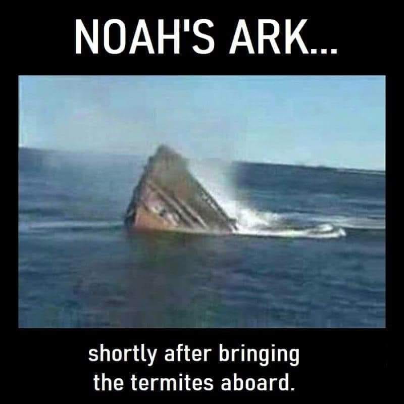 1710453894067.jpeg