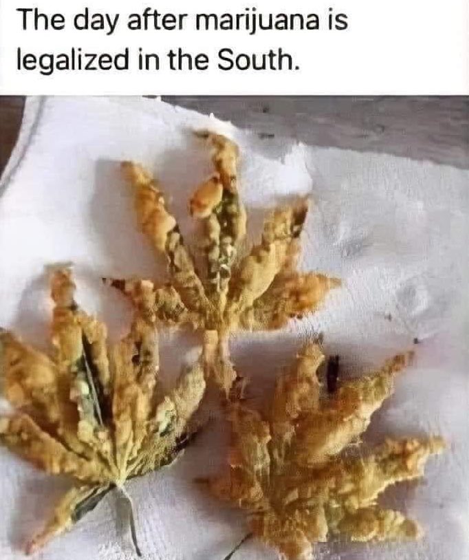 1712066690753.jpeg