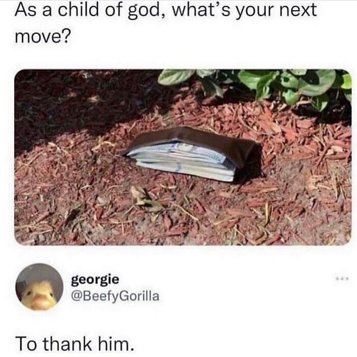 1713827304128.jpeg