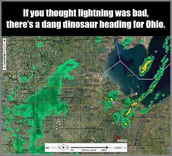 1716911314829.jpeg