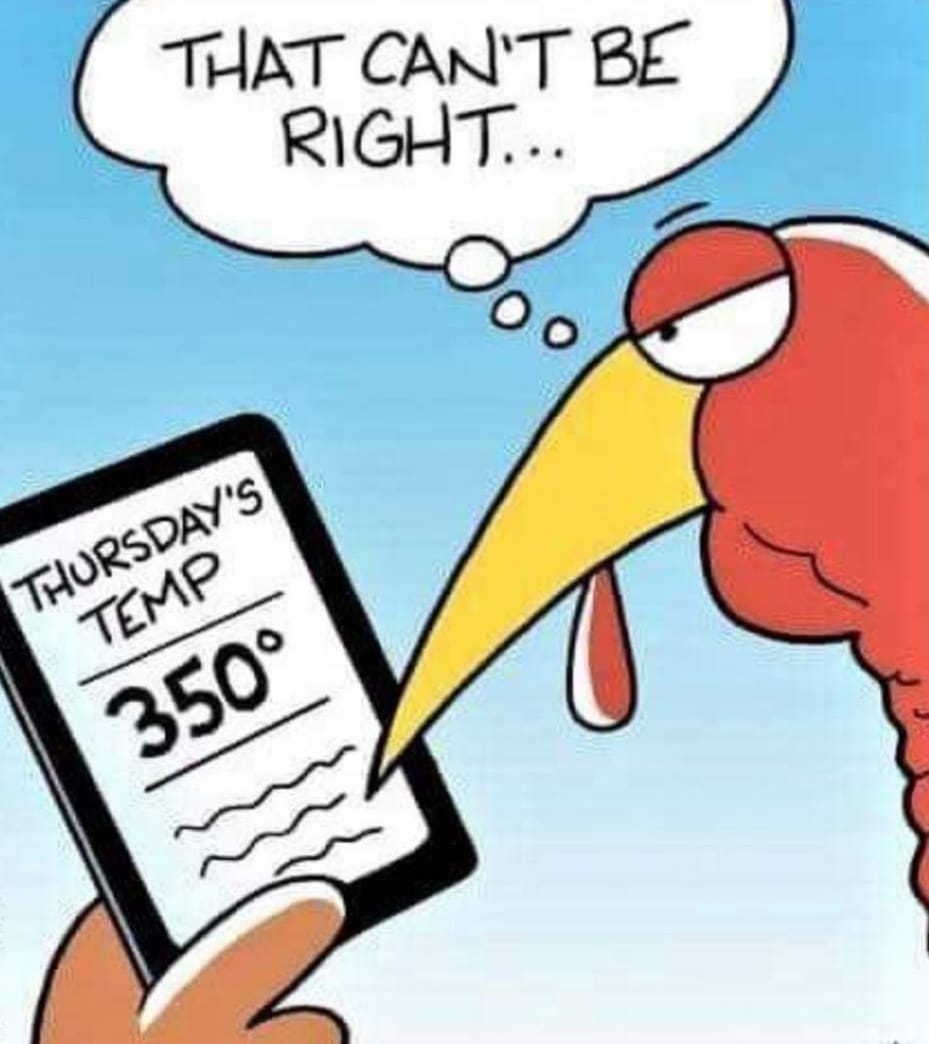 260628482_451386806344662_2868593596118360614_n.jpg