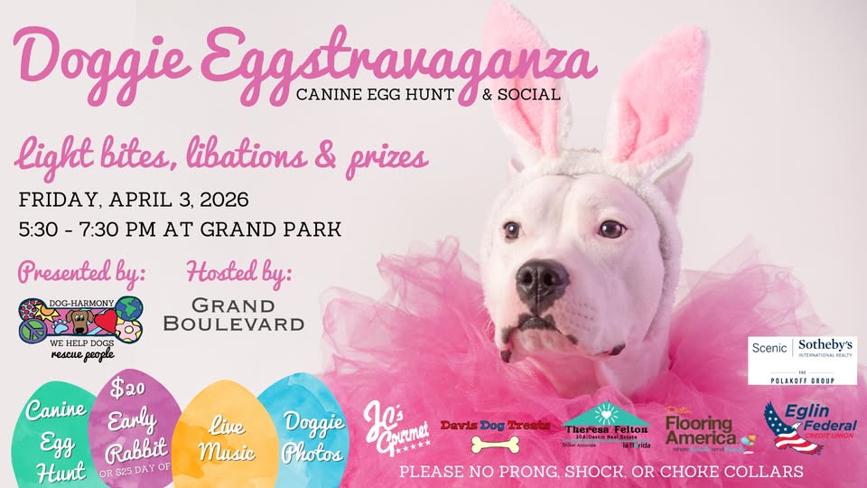 Doggie Eggstravaganza.jpg