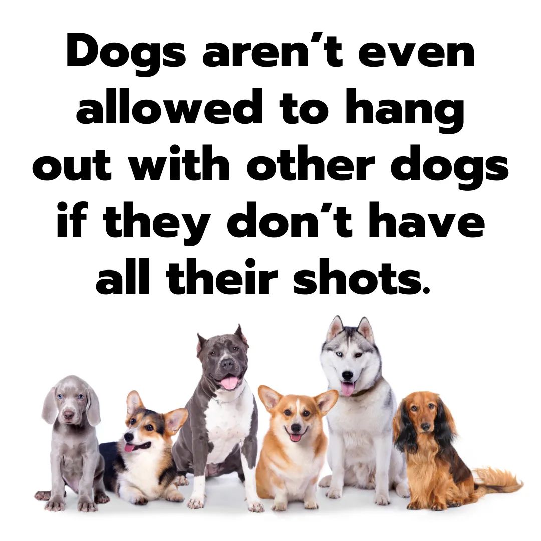 FB_IMG_1629837252248.jpg