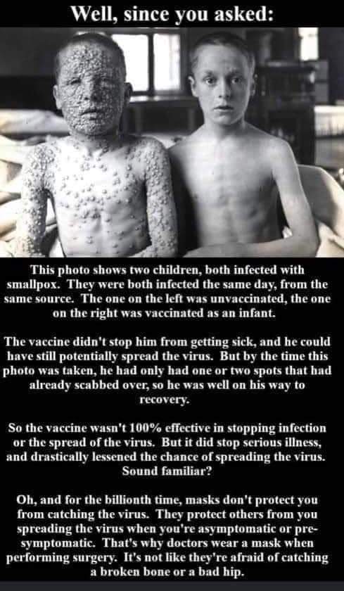 FB_IMG_1631678381818.jpg