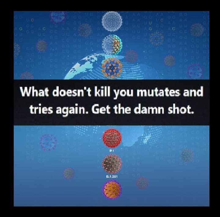 FB_IMG_1638377923991.jpg