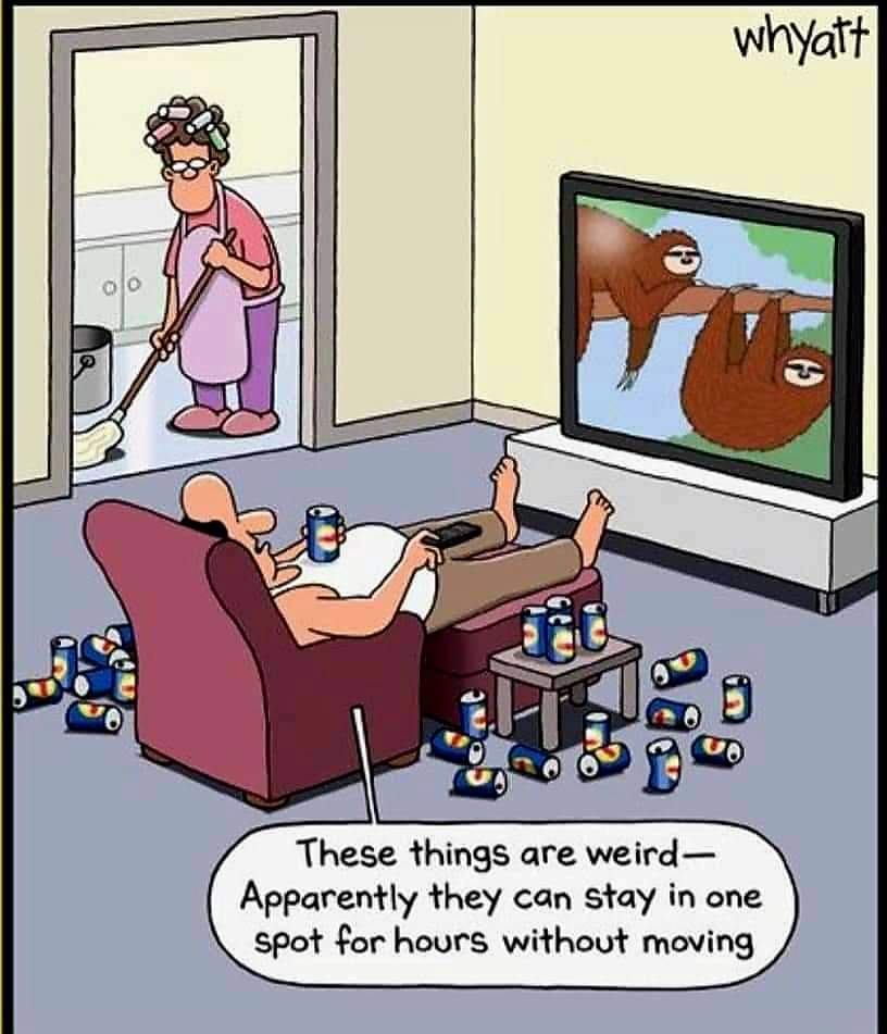 FB_IMG_1650318772468.jpg