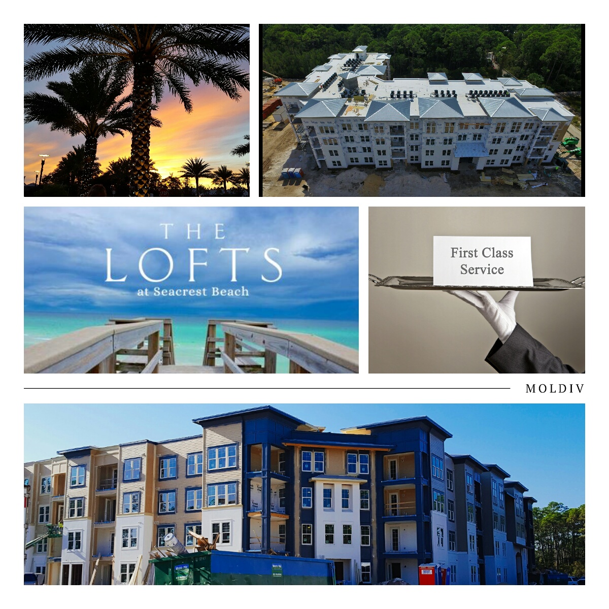 Lofts Collage.jpg