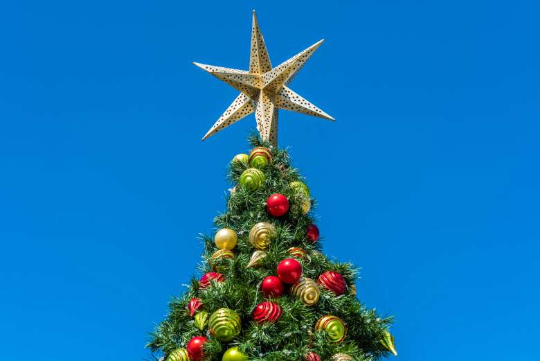 Tree4.jpeg