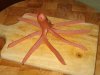 dogtopus.JPG