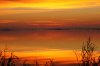SoWal Sunrise.jpg