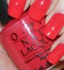 opi-chihuahua.jpg