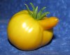 0817_veg04_rect540.jpg