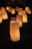 Luminaries.jpg