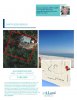 444 Montigo Ave Flyer 1 .jpg