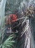 image-3916898329.jpg