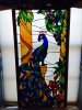 Peacock1.jpg
