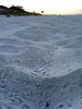 Ghost Crab Ambush.jpg