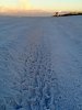 Tracks to Gulf Trace.jpg