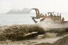 060222-beachrestoration-040.jpg