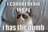 brain.jpg