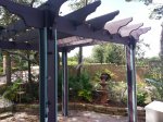 pergola backyard.jpg