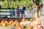 151018-pumpkinfest-012-sowal-2000.jpg