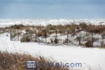 160224-grayton-006-sowal-2000.jpg