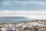 160224-grayton-005-sowal-2000.jpg
