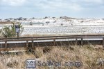 160224-grayton-001-sowal-2000.jpg