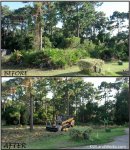 Residential Lot Clearing.jpg