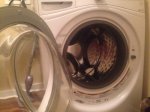 Washer Inside.jpg