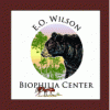 BIophilia logo.gif BIophilia logo.gif