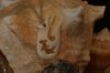 DSC01771.jpg