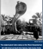 Miami Serpentarium.jpg Miami Serpentarium.jpg