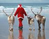 santaAtTheBeach.jpg