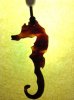 Seahorse pendant.jpg