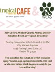 Tropical Smoothie_WCAS Event Flyer.jpg