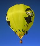 Albuquerque Dec 08 Balloon Liftoff Blue Sky.jpg