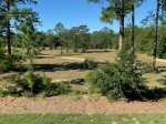 View of back yard.jpg